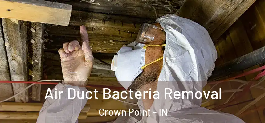  Air Duct Bacteria Removal Crown Point - IN