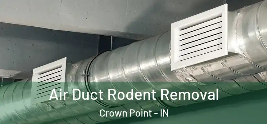 Air Duct Rodent Removal Crown Point - IN