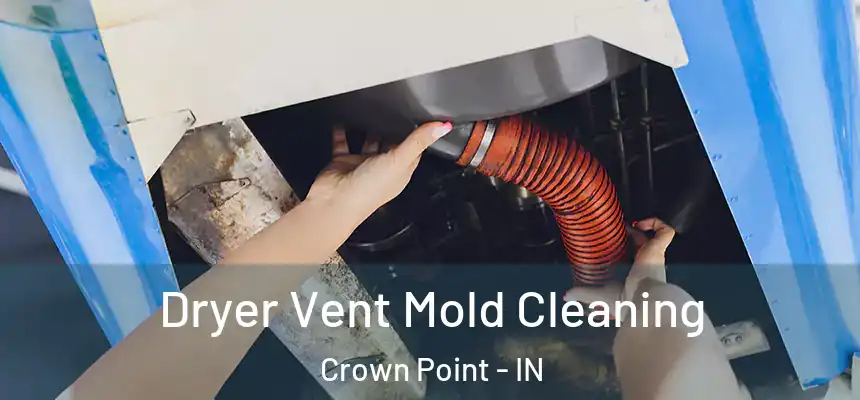  Dryer Vent Mold Cleaning Crown Point - IN
