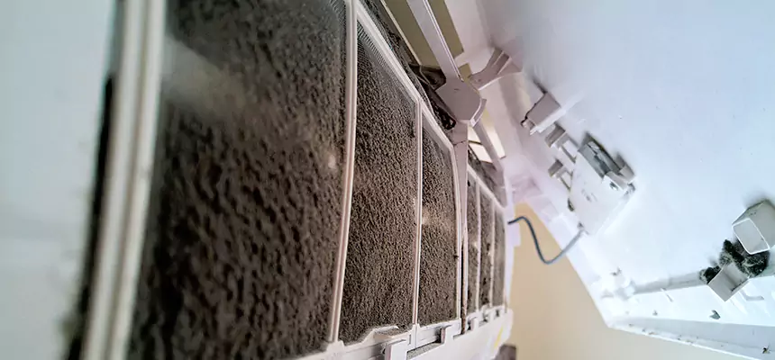 Preventive Air Duct Bacteria Removal in Crown Point