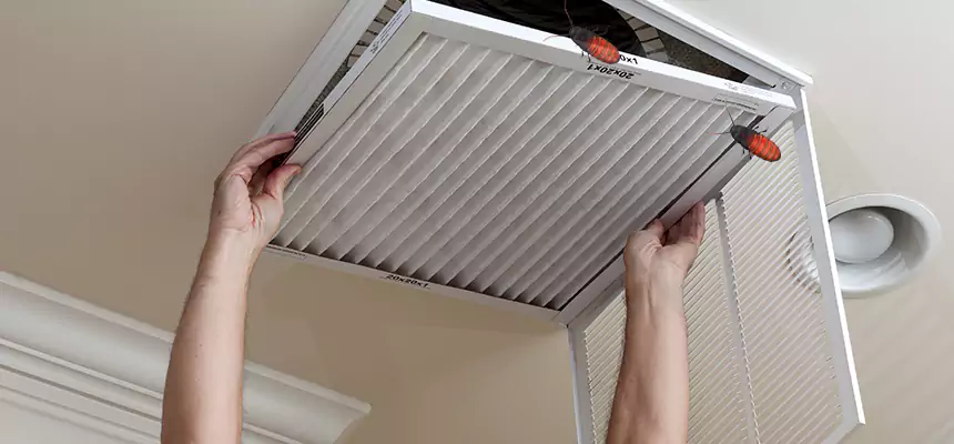 Our Insect Removal from Air Ducts Services in Crown Point, IN