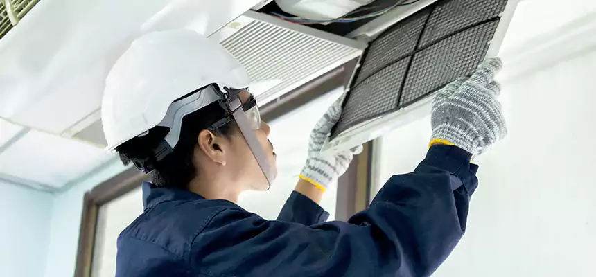 Our Mold & Mildew Removal from Air Ducts Services in Crown Point, IN