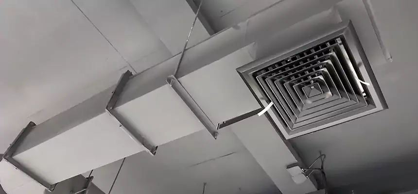 Our Pest Removal From Ducts Services in Crown Point, IN