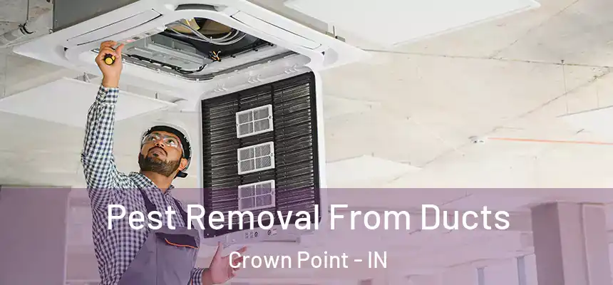  Pest Removal From Ducts Crown Point - IN