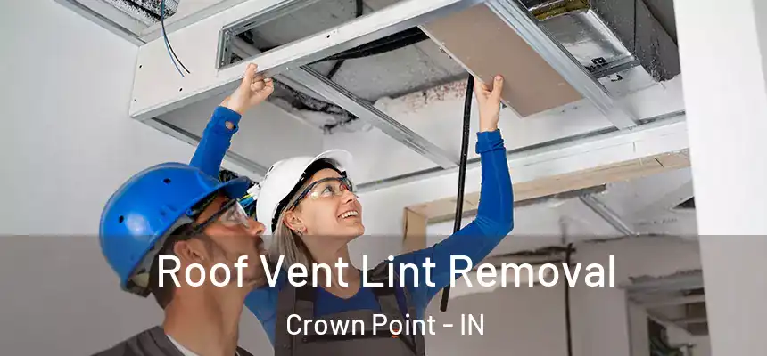  Roof Vent Lint Removal Crown Point - IN