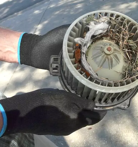 About Air Duct Mice Removal in Crown Point, IN