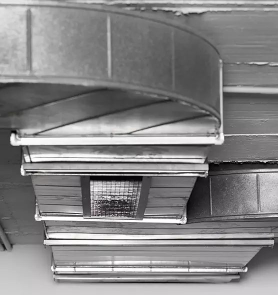 Professional Air Duct Pest Removal in Crown Point, IN