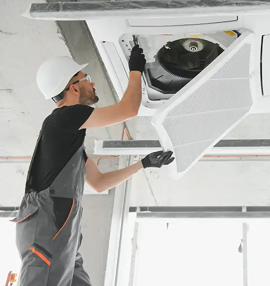 About Air Duct Rodent Removal in Crown Point, IN