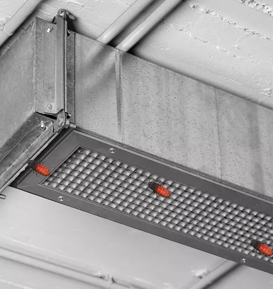 Affordable Insect Removal from Air Ducts in Crown Point, IN