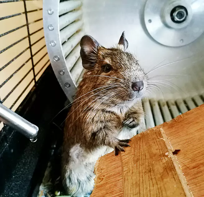 Why Homeowners & Businesses Trust Us Crown Point, IN?